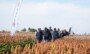 Dzień Sorgo RAGT 2026