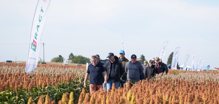 Dzień Sorgo RAGT 2026