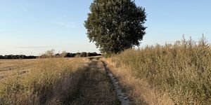 Polna droga wśród pól uprawnych i wysokich traw. Preferencyjne kredyty inwestycyjne dla rolników mogą wspierać zakup gruntów rolnych.