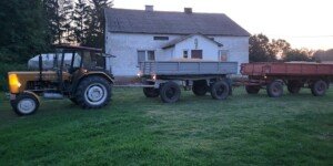 Ceny pszenicy 07.10.2026 r.